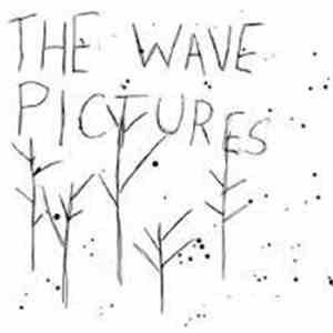 The Wave Pictures - The Woods / TheRopes