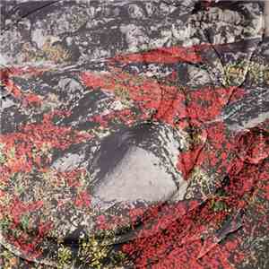 Anselm - Strom
