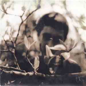 Chris Bozzone - Bloodstained Butterflies