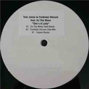 Tom Jones Vs Funkstar DeLuxe Feat. Dj The Wave - She's A Lady