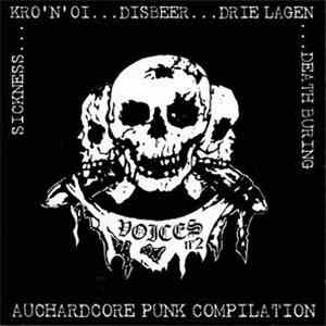 Various - Voices N°2 - Auchardcore Punk Compilation