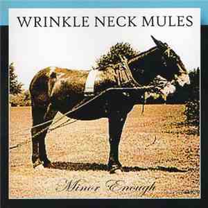 Wrinkle Neck Mules - Minor Enough