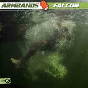 Armbands - Falcon