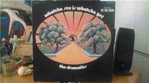 The Dramatics - Whatcha See Is Whatcha Get