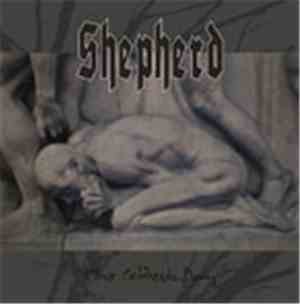 Shepherd  - The Coldest Day