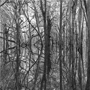 Artificial Memory Trace - Ama_Zone1: Black Waters