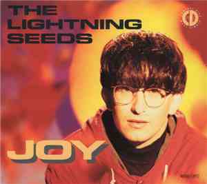 The Lightning Seeds - Joy