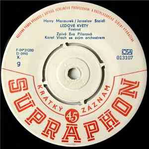 Eva Pilarová / Karel Gott - Ledové Květy / Písnička Pro Martinu