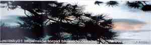 Olof Hemmendorff / Anders Ilar - Torpid / Outsize