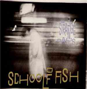 School Of Fish - 3 Strange Days