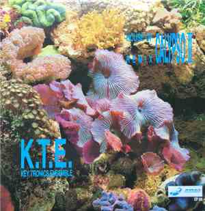 Key Tronics Ensemble - House Of Calypso II Remix