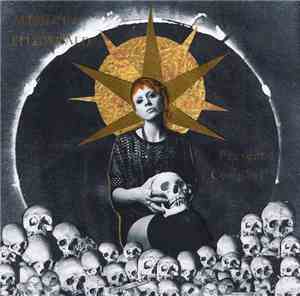 Mishkin Fitzgerald - Present Company