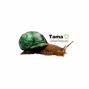 Tama  - Great Pleasure