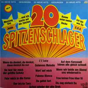 Various - 20 Spitzenschlager No 4