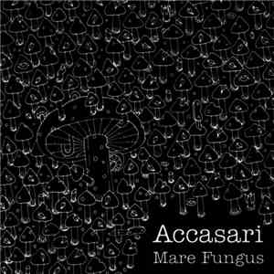 Accasari - Mare Fungus