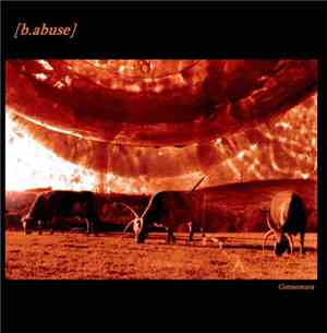 B.Abuse - Connemara