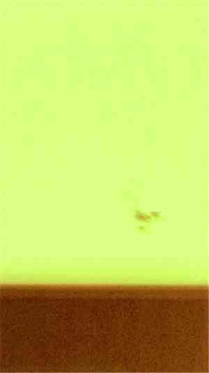 Plank  - M.Blur.02
