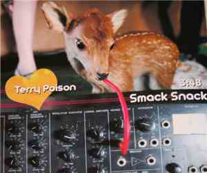 Terry Poison - Smack Snack
