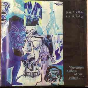Autumn Rising - 