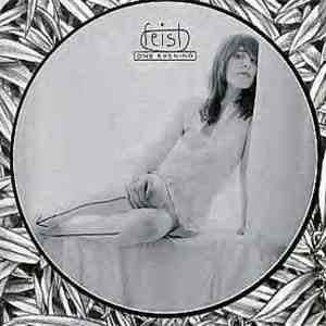 Feist - One Evening