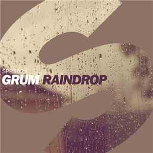 Grum - Raindrop