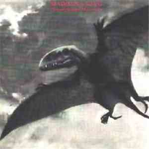 Madonna King - Dimorphodon Macronix