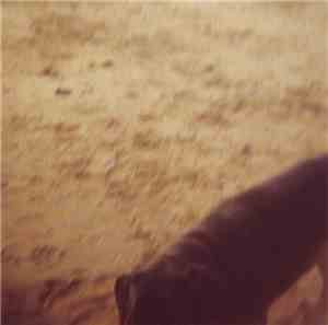 To Blacken The Pages - North