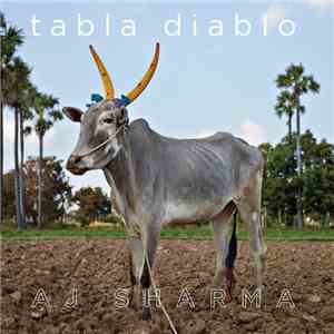 AJ Sharma - tabla diablo