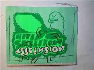 Hetero Skeleton - Asscension