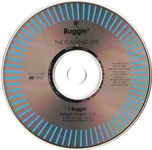 The Flaming Lips - Buggin'