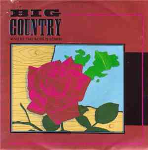 Big Country - Where The Rose Is Sown
