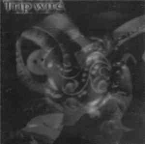 Tripwire  - Intellavoid