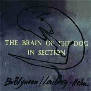 Brötzmann / Lonberg-Holm - The Brain Of The Dog In Section