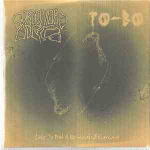 Gorgonized Dorks / To-Bo - Life Is But A Dessicated Carcass