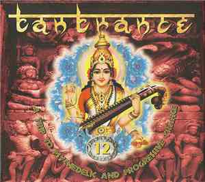 Various - Tantrance 12 - A Trip To Psychedelic And Progressive Trance