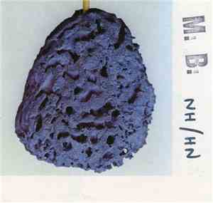 M.B. - NH/HN