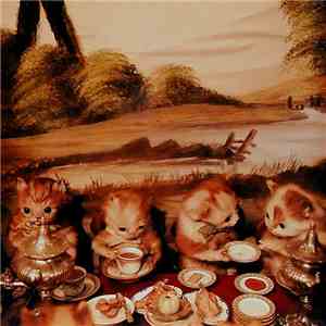 Piano Magic - Low Birth Weight
