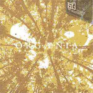Somber Light - Orgaenia