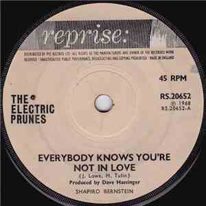 The Electric Prunes - Everybody Knows You're Not In Love