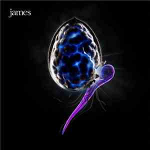 James - The Night Before