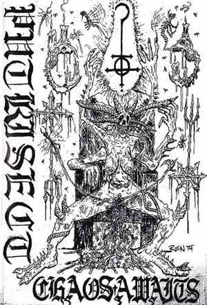 Putrisect - Chaos Awaits