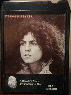 Tyrannosaurus Rex - A Beard Of Stars