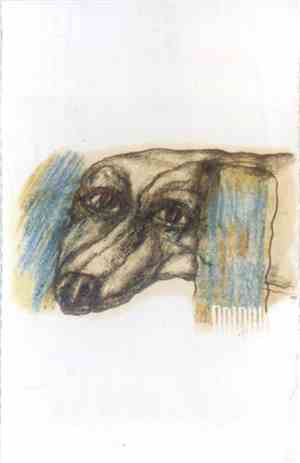 Dolphin  - Звезда