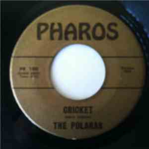The Polaras - Cricket/Breaker