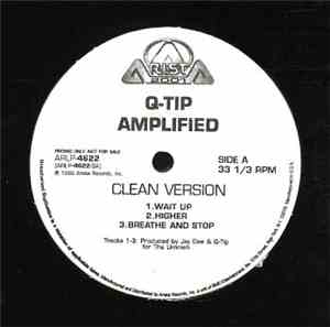 Q-Tip - Amplified