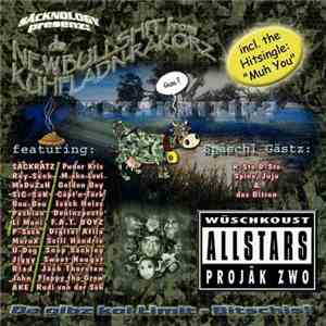 Wüschkoust Allstars, Sic-Säk - Projäk Zwo: Metakritk