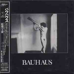 Bauhaus - In The Flat Field