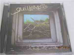 Guillemots - Through The Windowpane