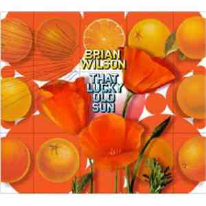 Brian Wilson - That Lucky Old Sun
