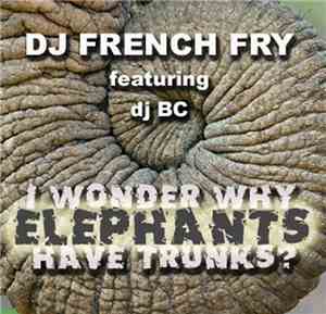 DJ French Fry Featuring dj BC - I Wonder Why Elephants Have Trunks?